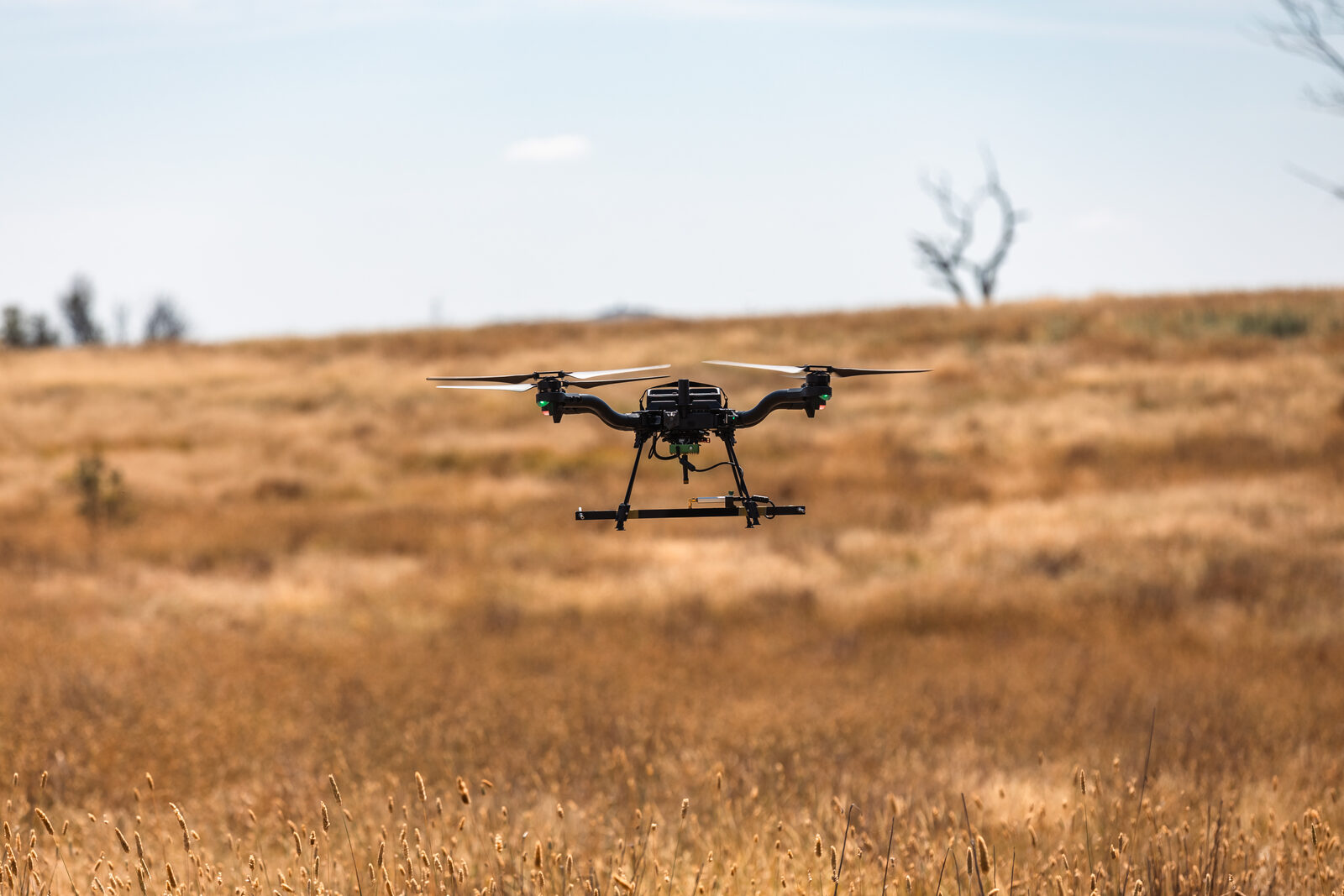 Eyes in the Dark: What Drones Actually Deliver for Conservation and Anti-Poaching