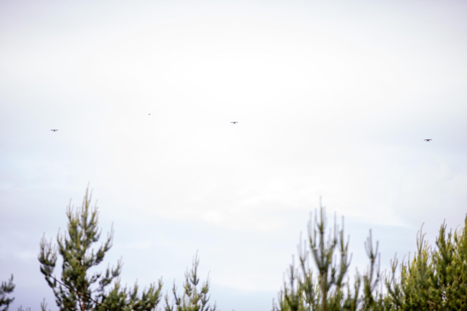 Swarm Mesh Networking: The Hidden Architecture Behind Autonomous Drone Coordination