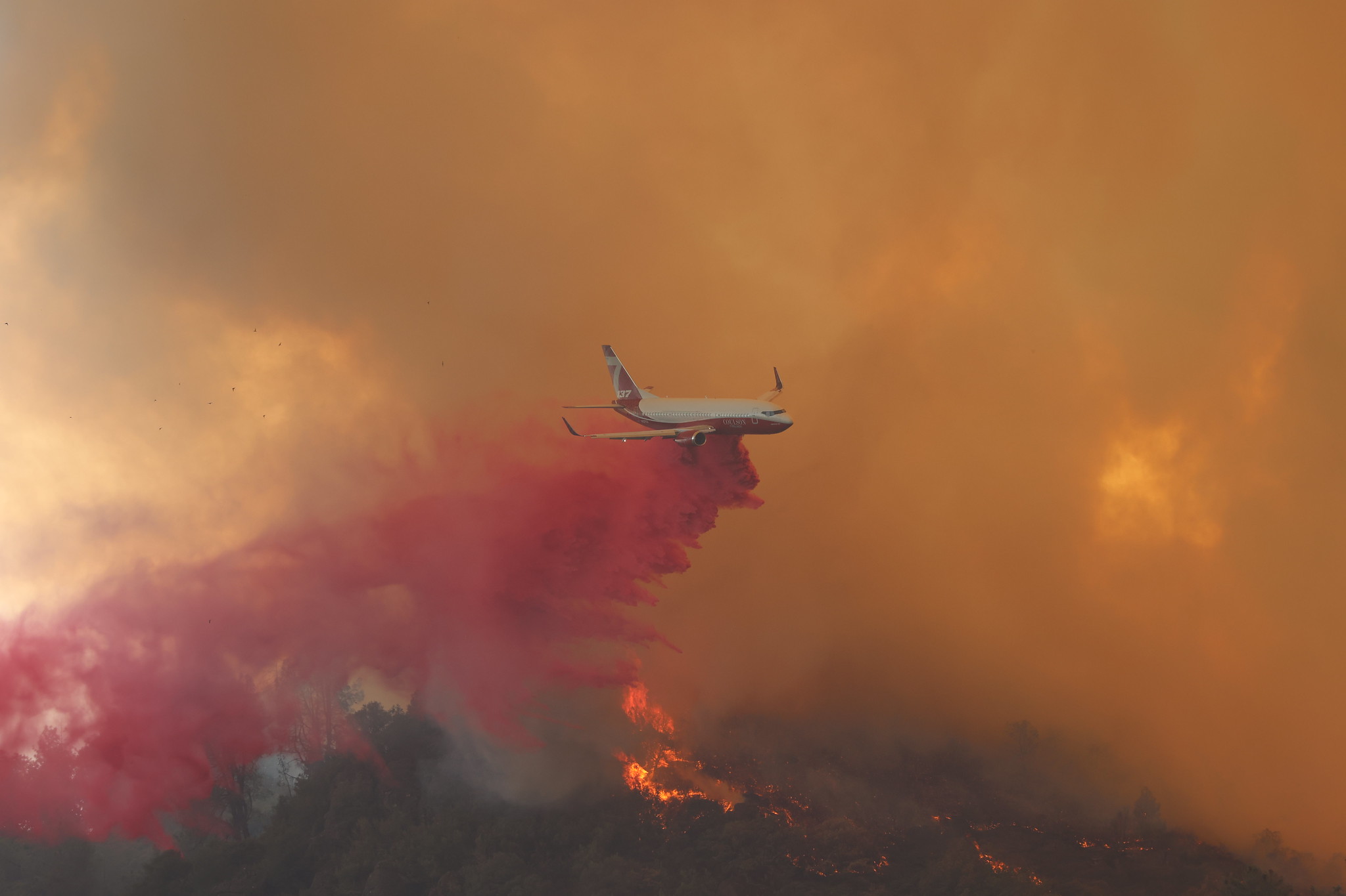 “If You Fly, We Can’t”: How Wildfire TFRs Work and What They Cost Violators